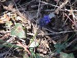 Photo DSC01704.JPG